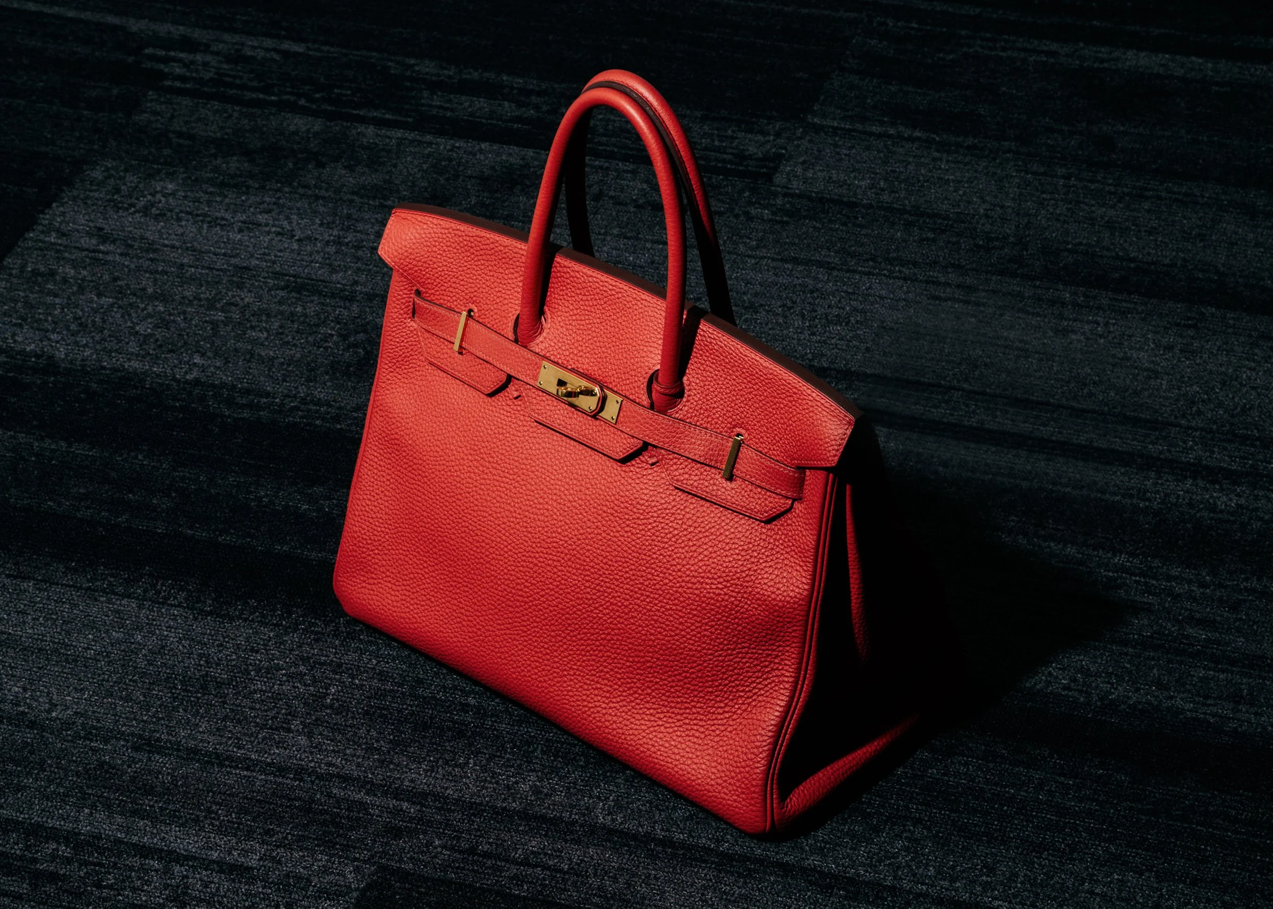 birkinwsj.jpg