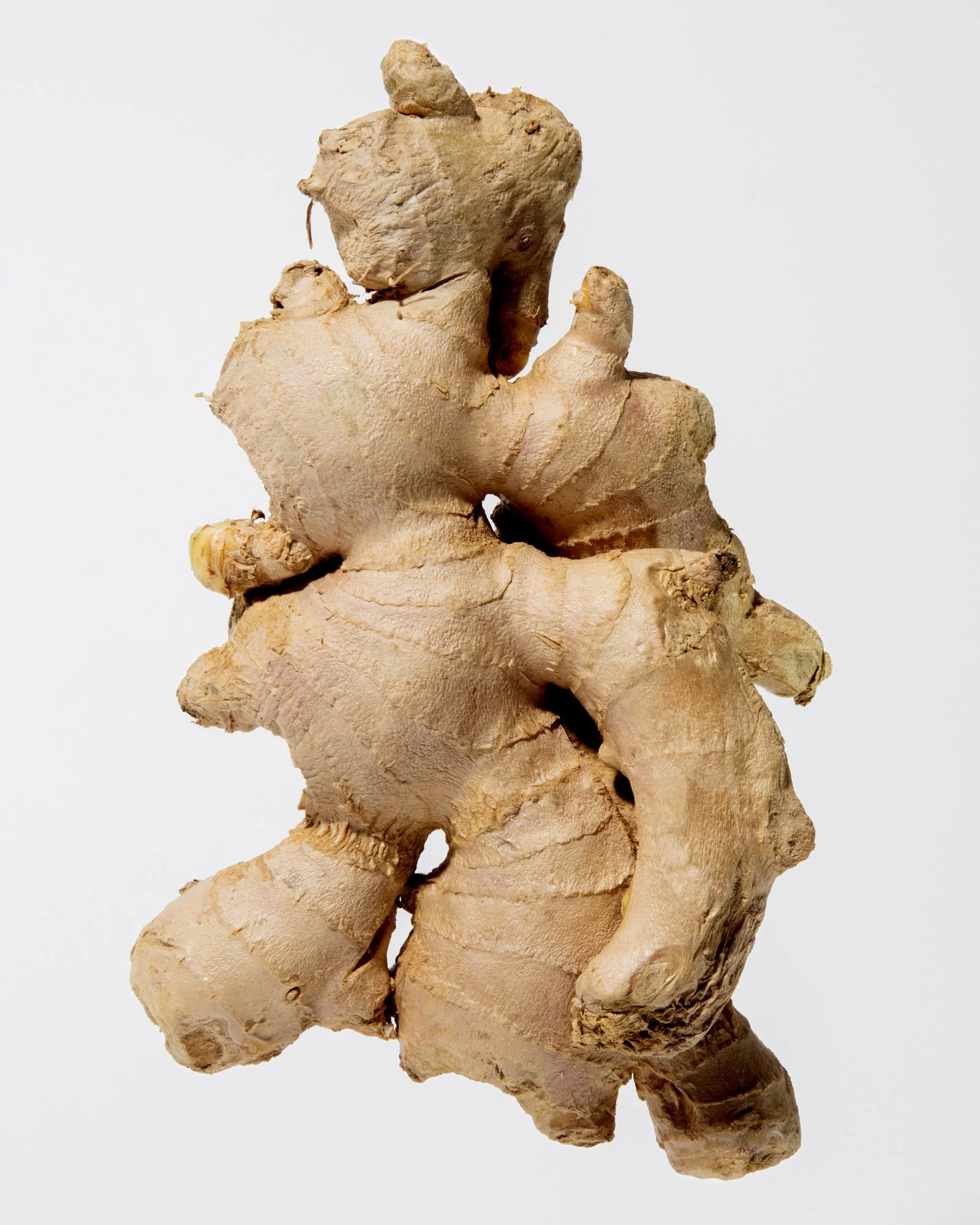 ginger.jpg