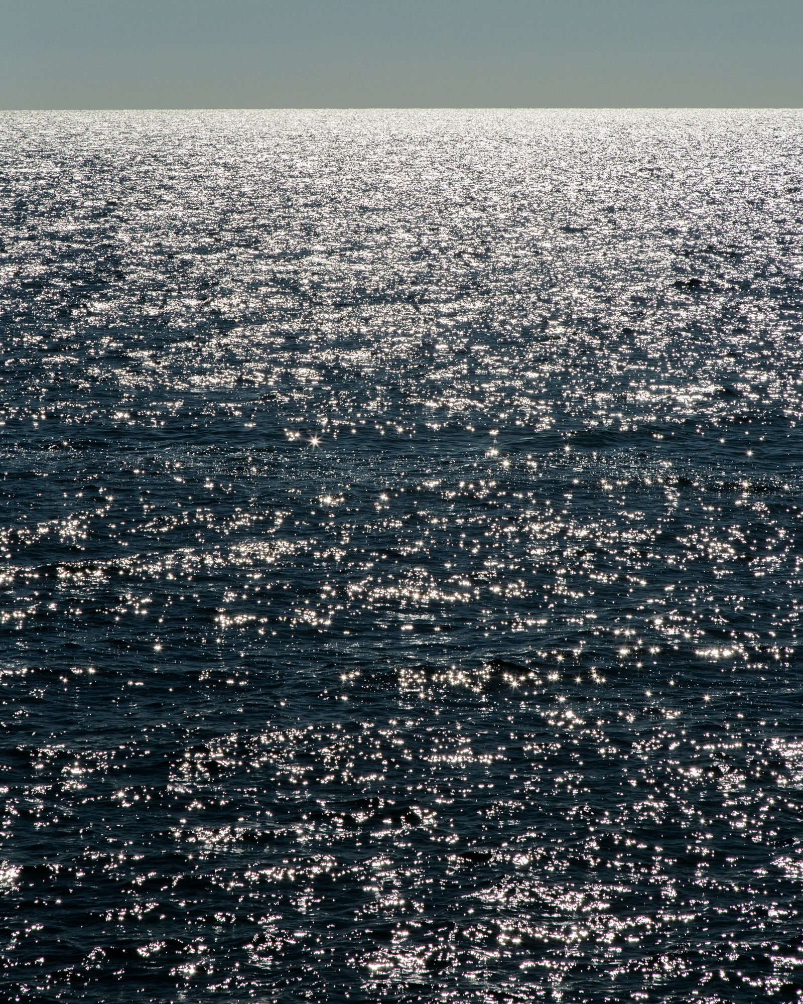 9Y0A4256_crop.jpg