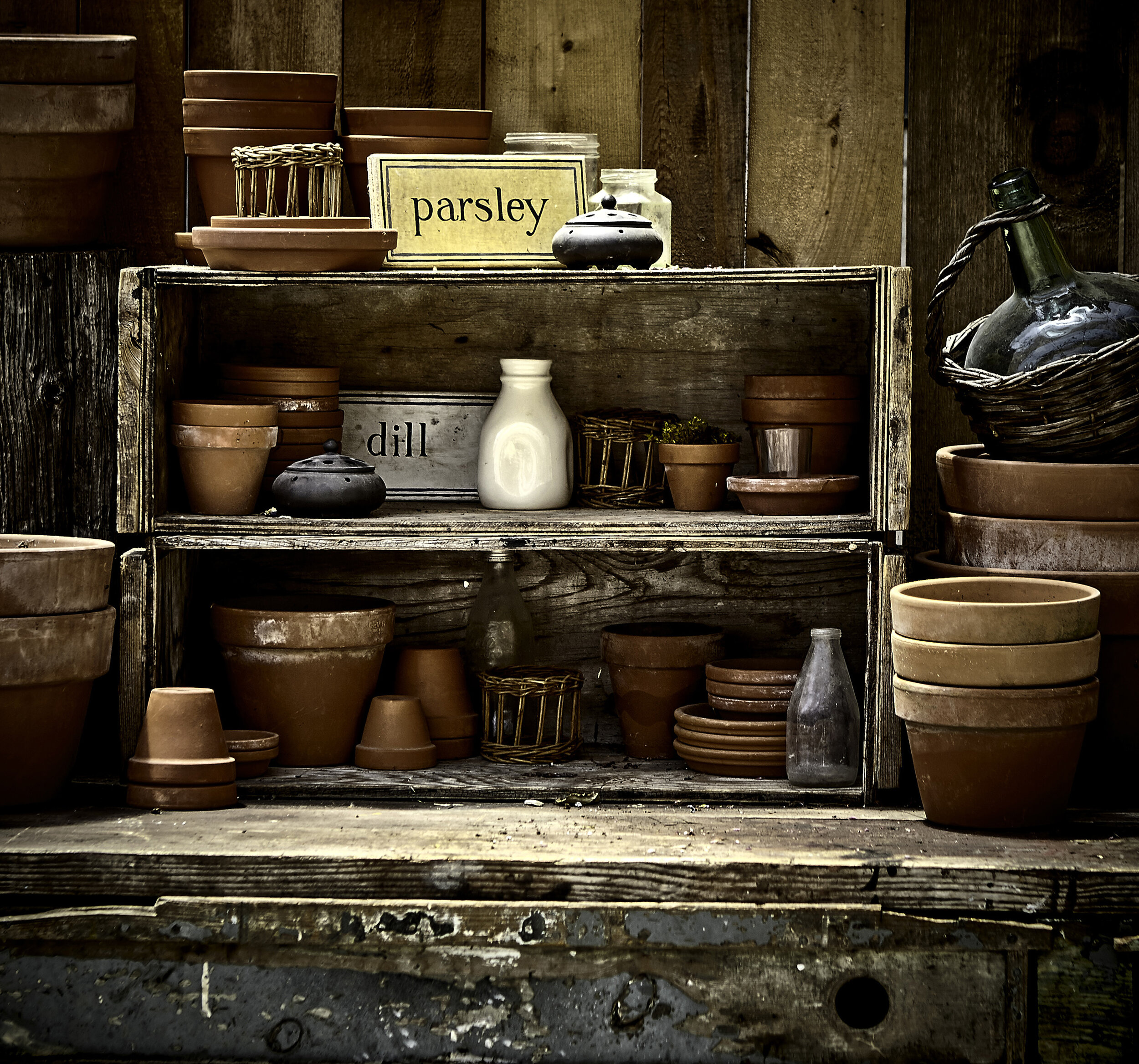 Plant Pots_4110.jpg