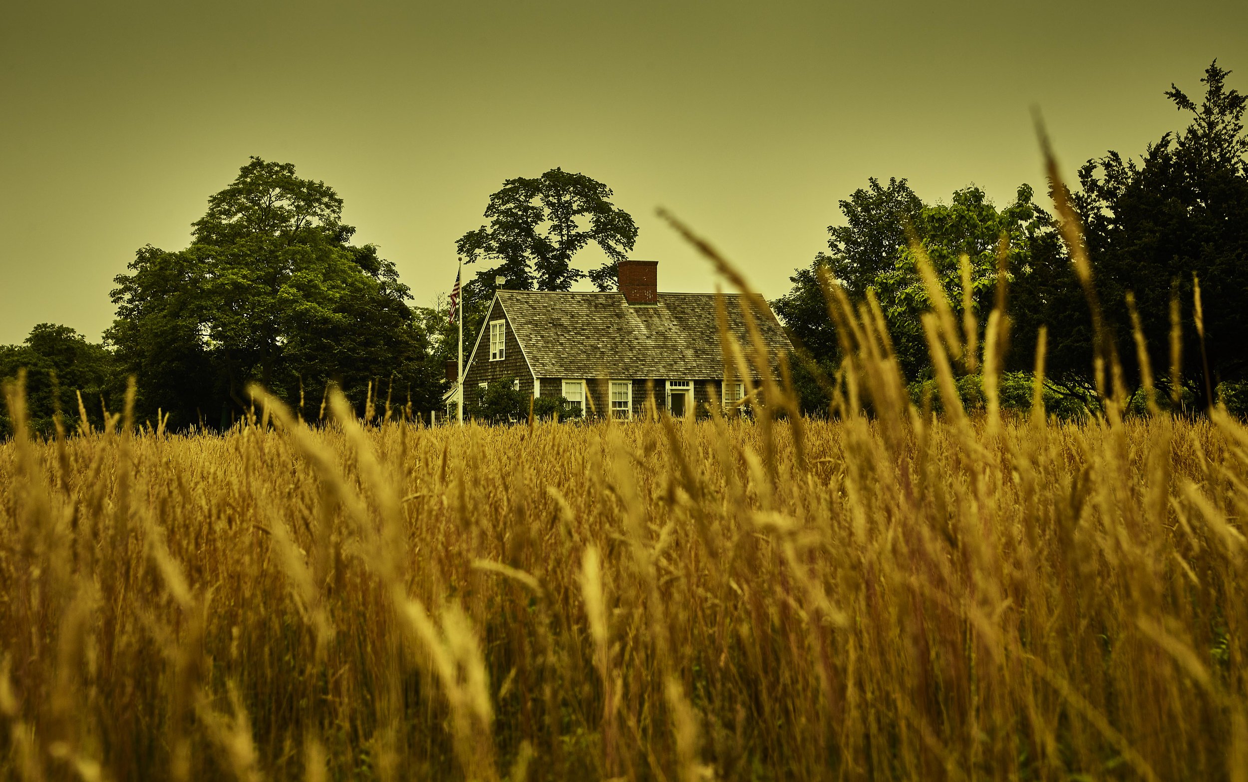 New England house in Grassy Field_1480 copy.jpg