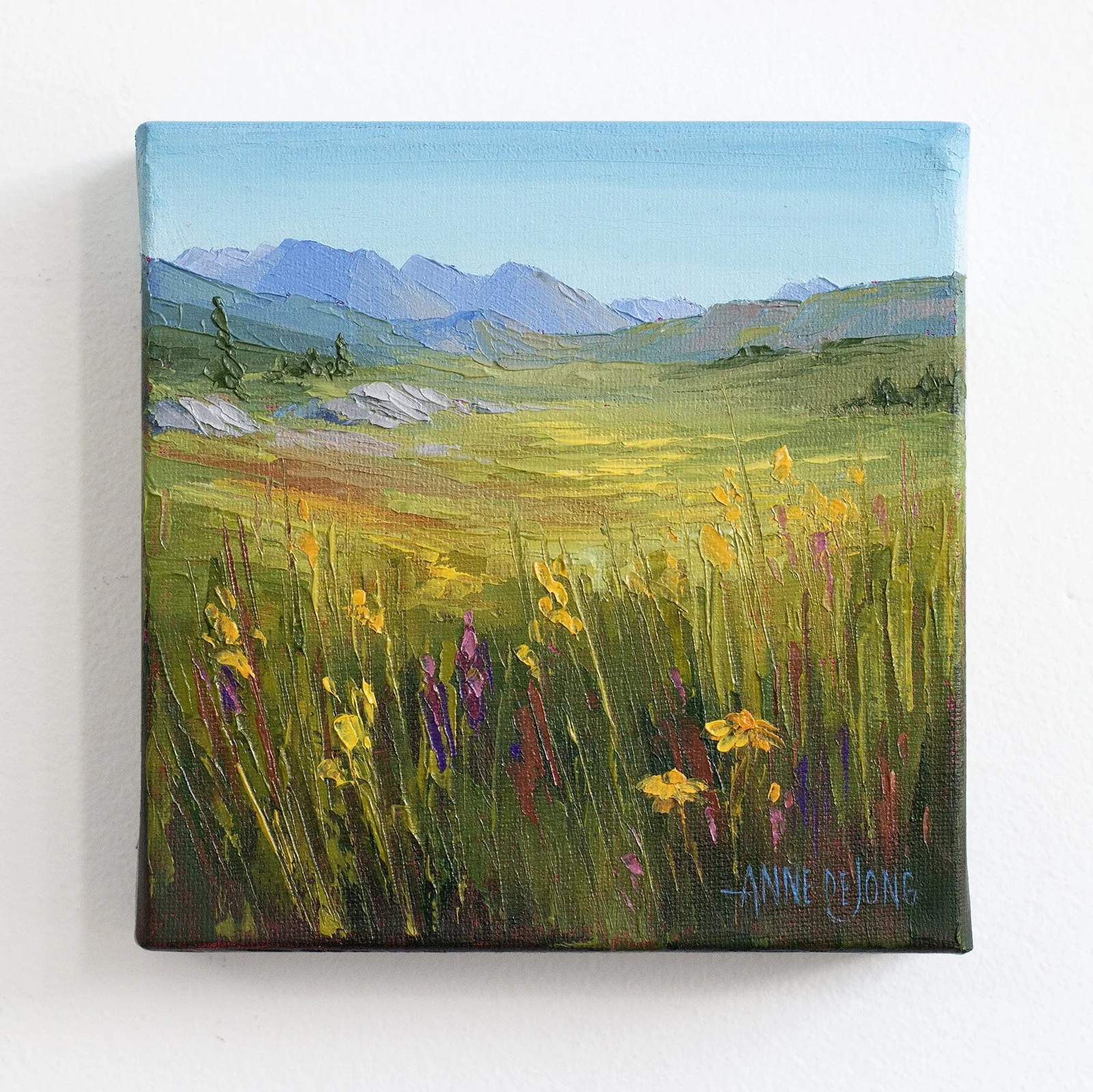 sunshine 6x6 web.jpg