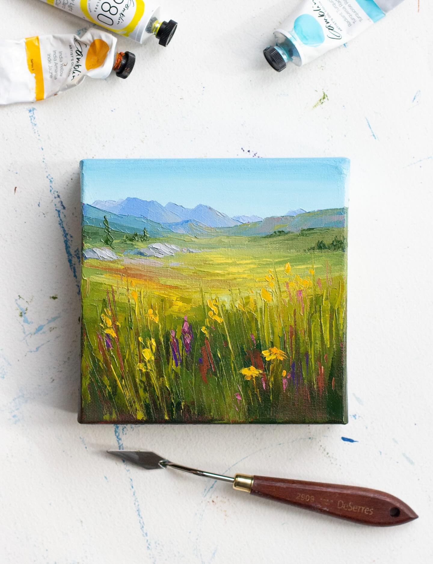 A bit of sunshine to brighten up this grey wintery day.

This week has been quite dreary, so I&rsquo;ve been focusing on summery paintings inspired by Sunshine Meadows. This mini series will be available later this month.

#annedejongart #sunshinemea