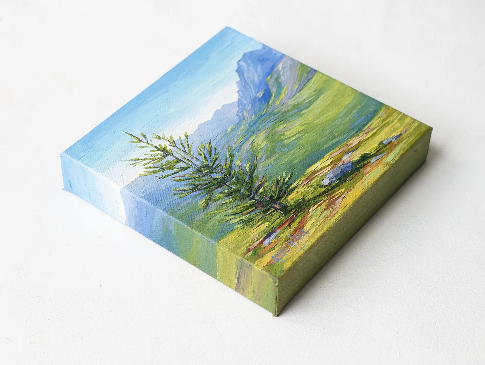 Healy Pass angled copy web.jpg