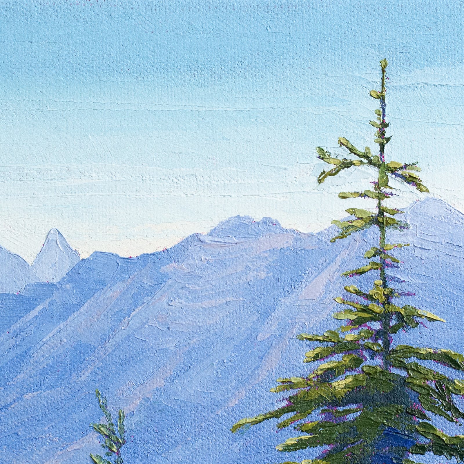Taking in the View 8x8 details web.jpg