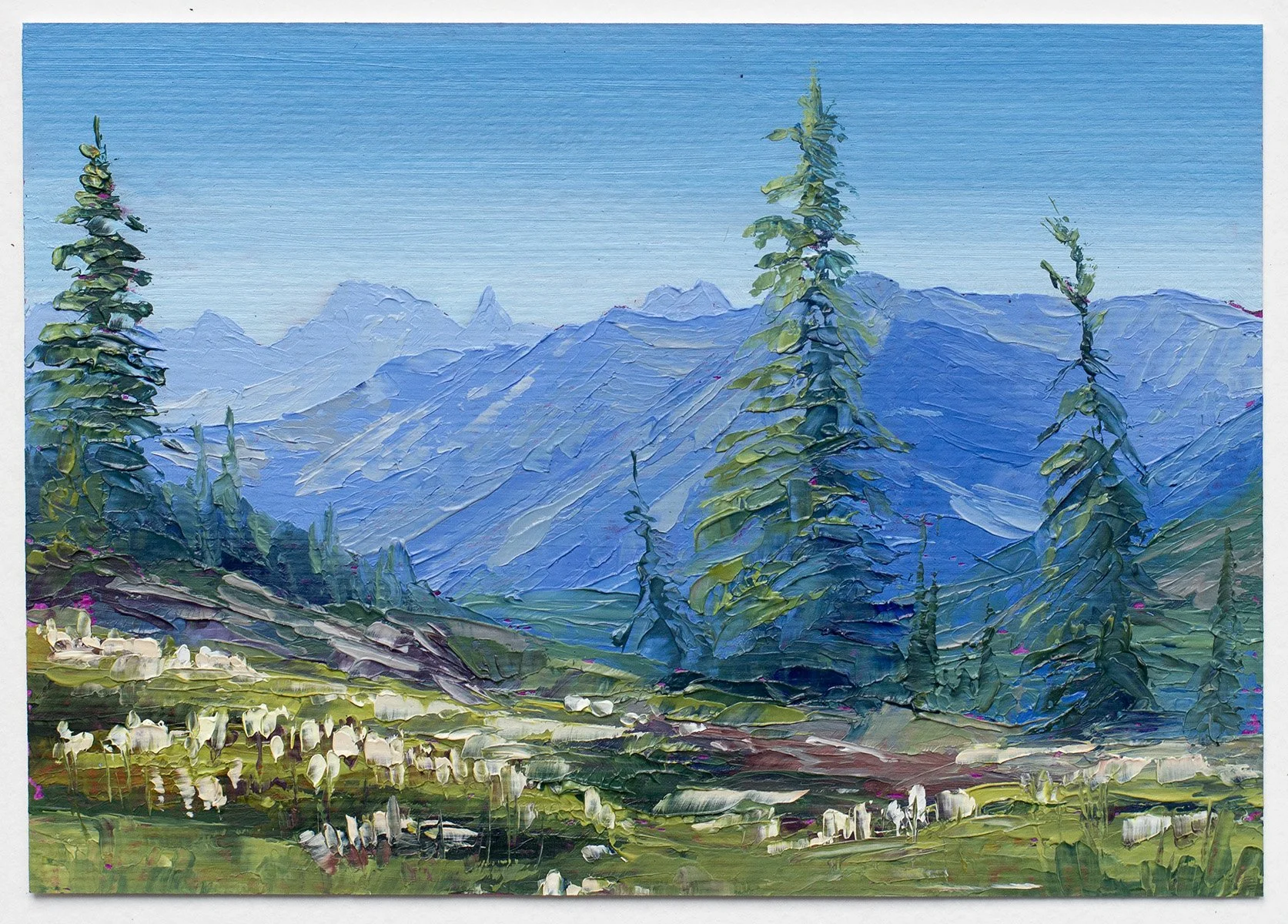 sunshine meadows study web.jpg