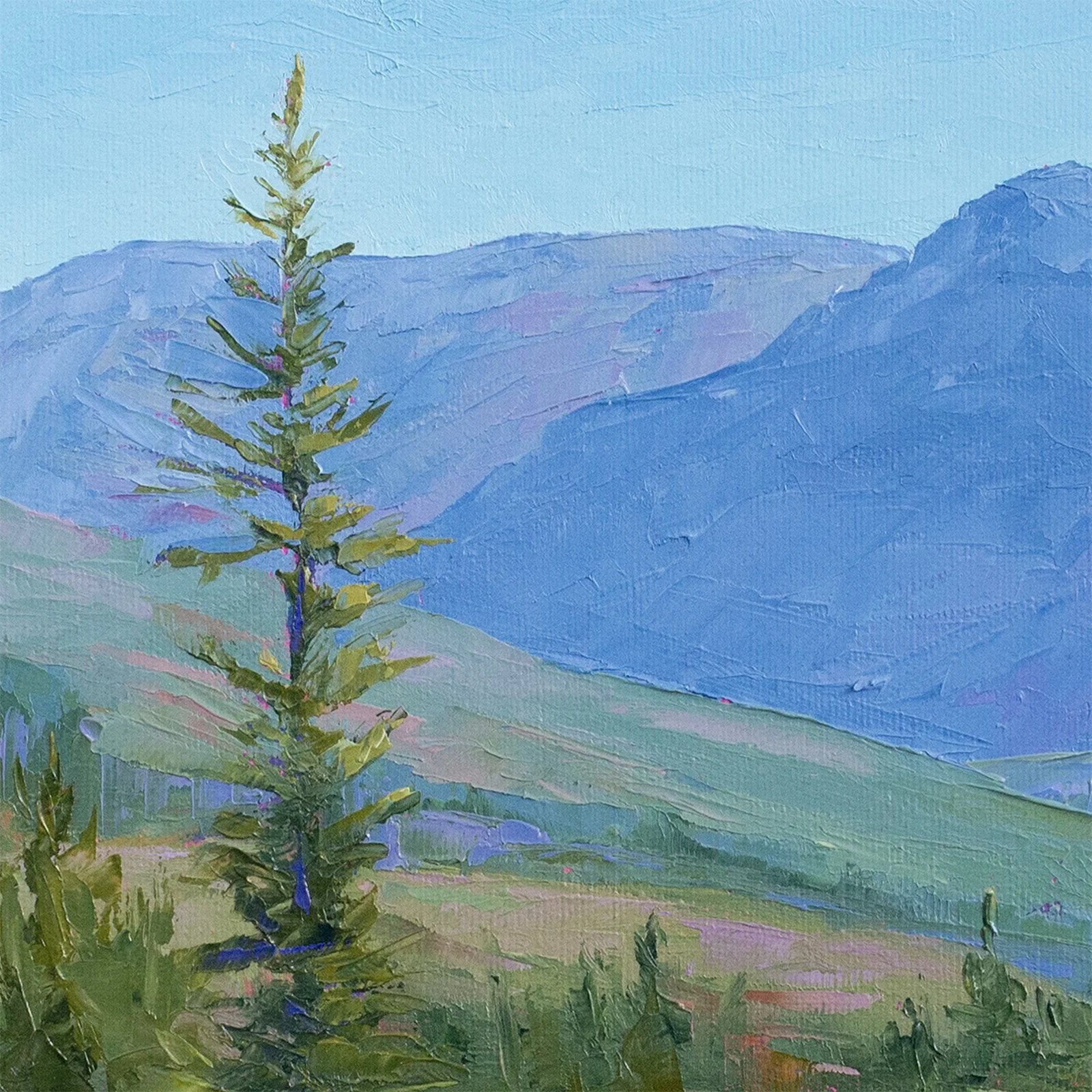 Sunshine meadows 36x12 cropped 2 web.jpg