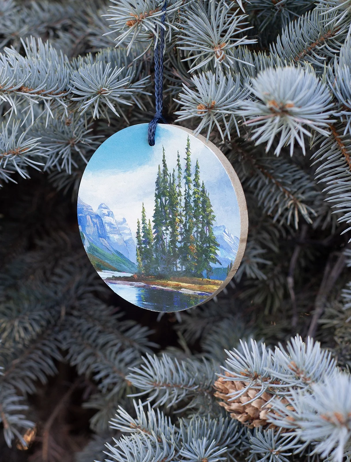 Spirit island_hanging web.jpg