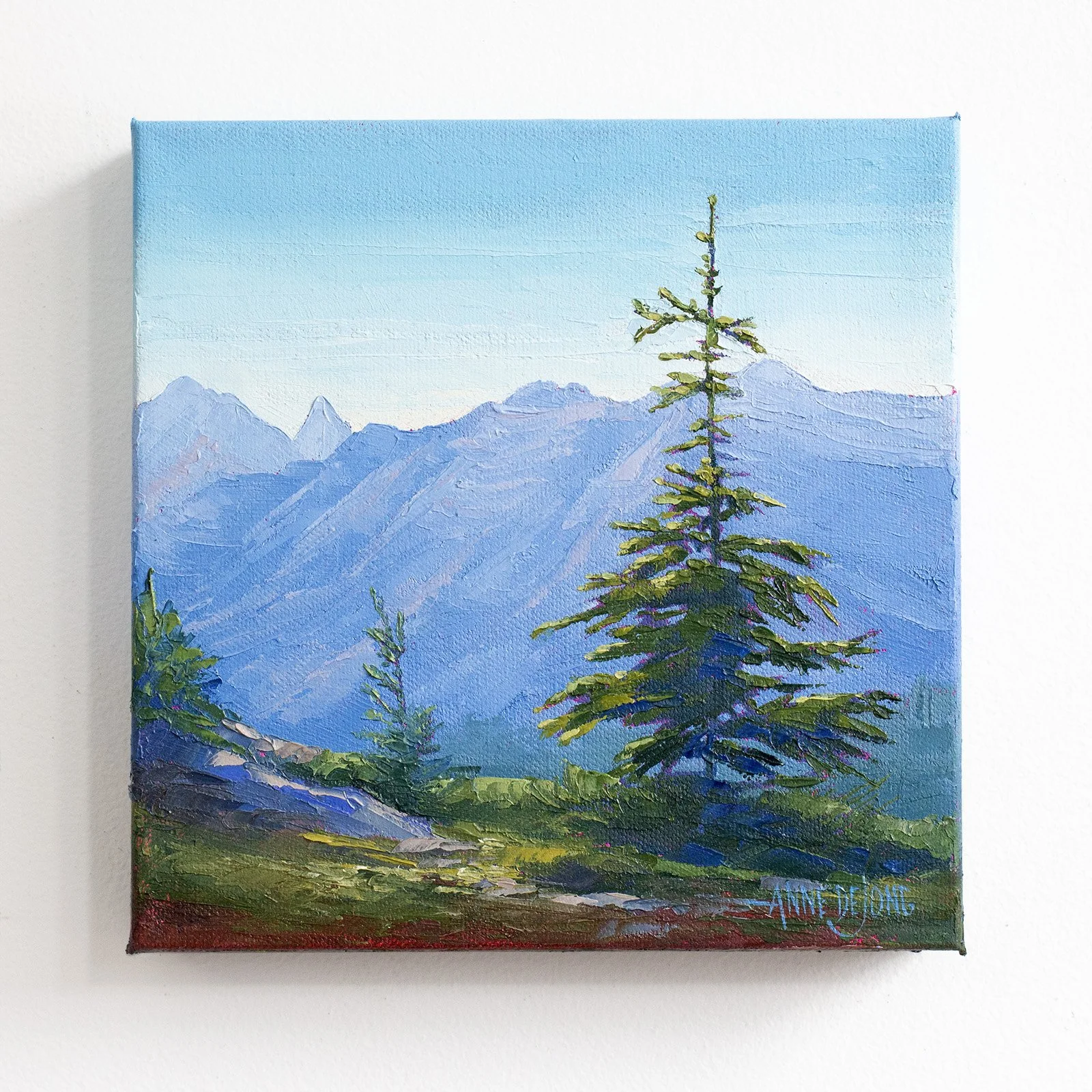 Taking In the View 8x8