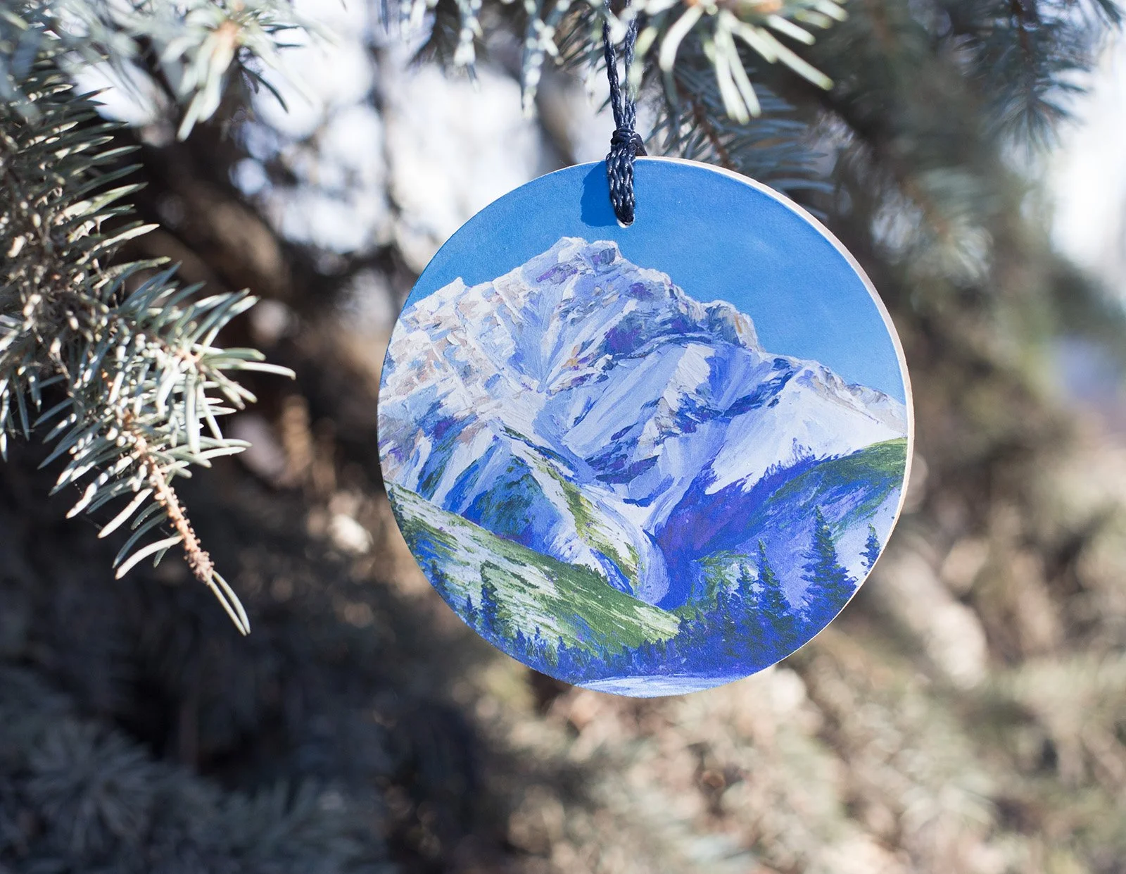 Cascade_hanging web.jpg