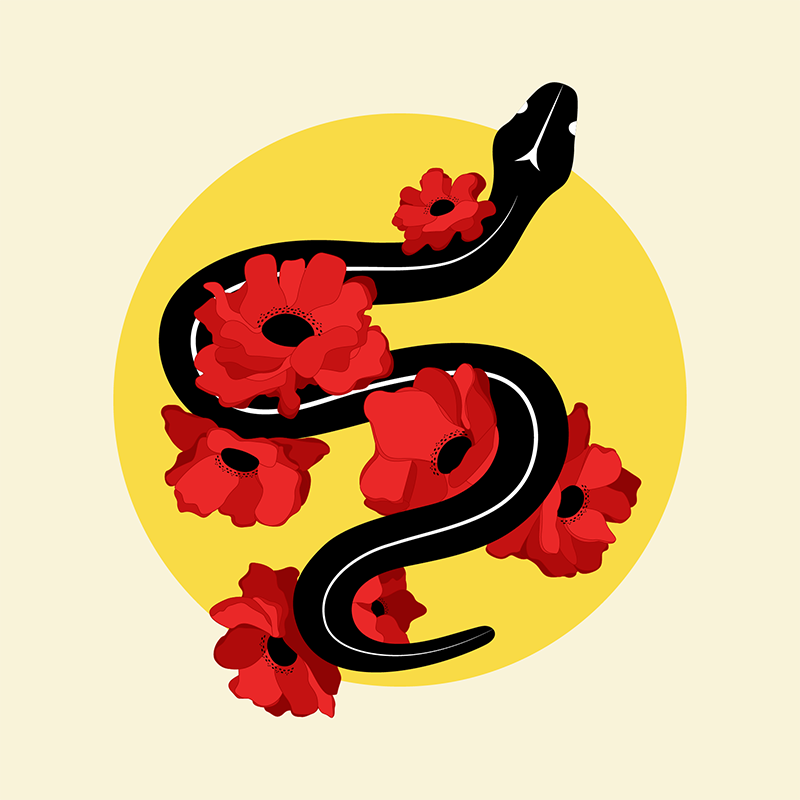 The issue revolves around the themes of mythology and how myths impact a person’s views. Snakes and flowers are common in folklore and mythologies. At times, snakes can be seen in a negative way, so I wanted to juxtapose that with brighter colours.