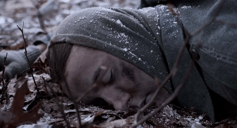 Animated GIF-downsized_large.gif