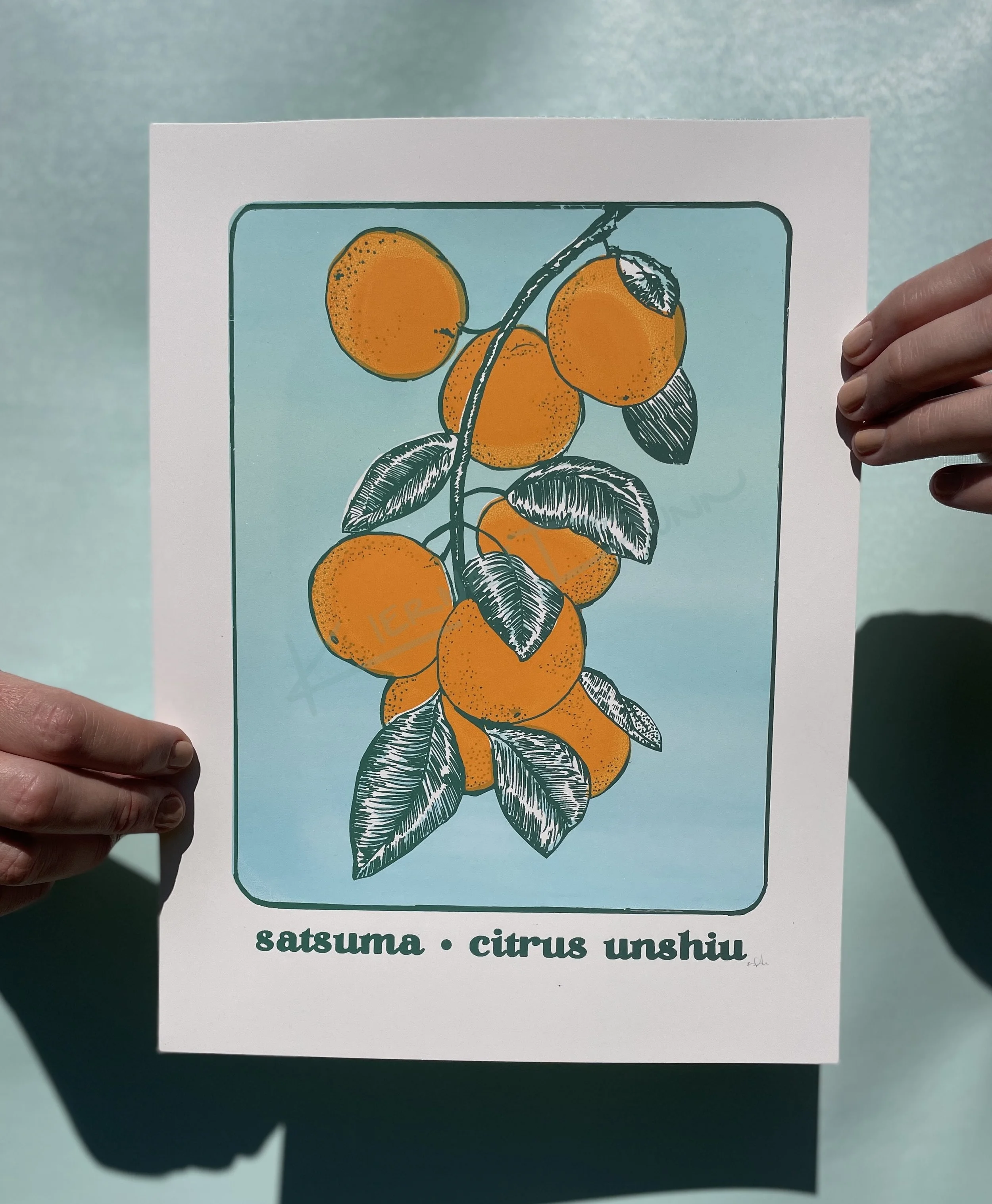 Satsuma // Silk Screen