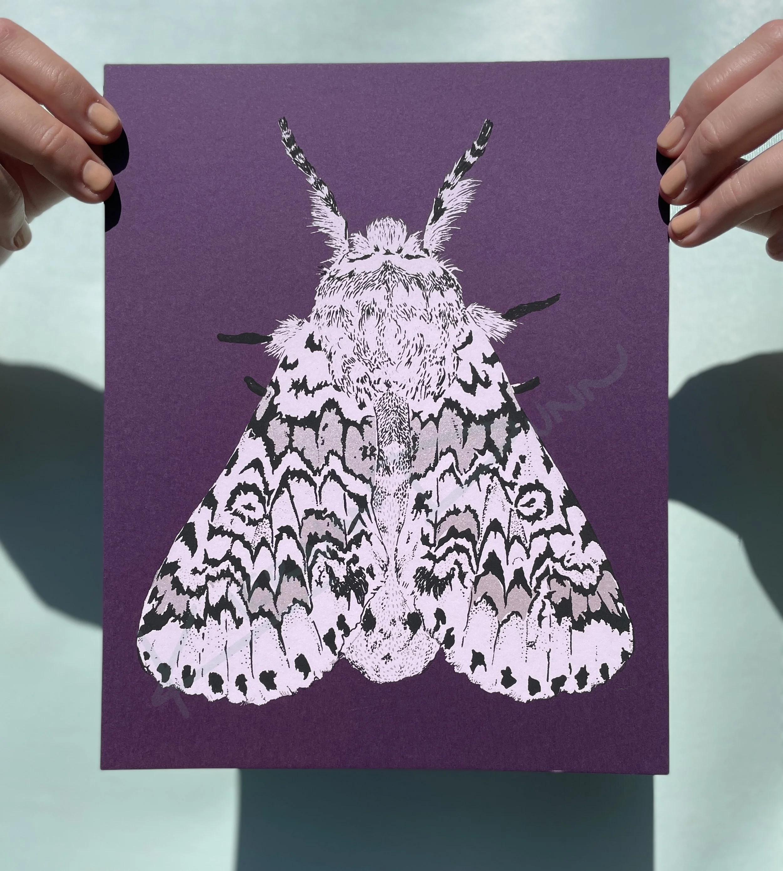 Black Arches Moth // Silk Screen