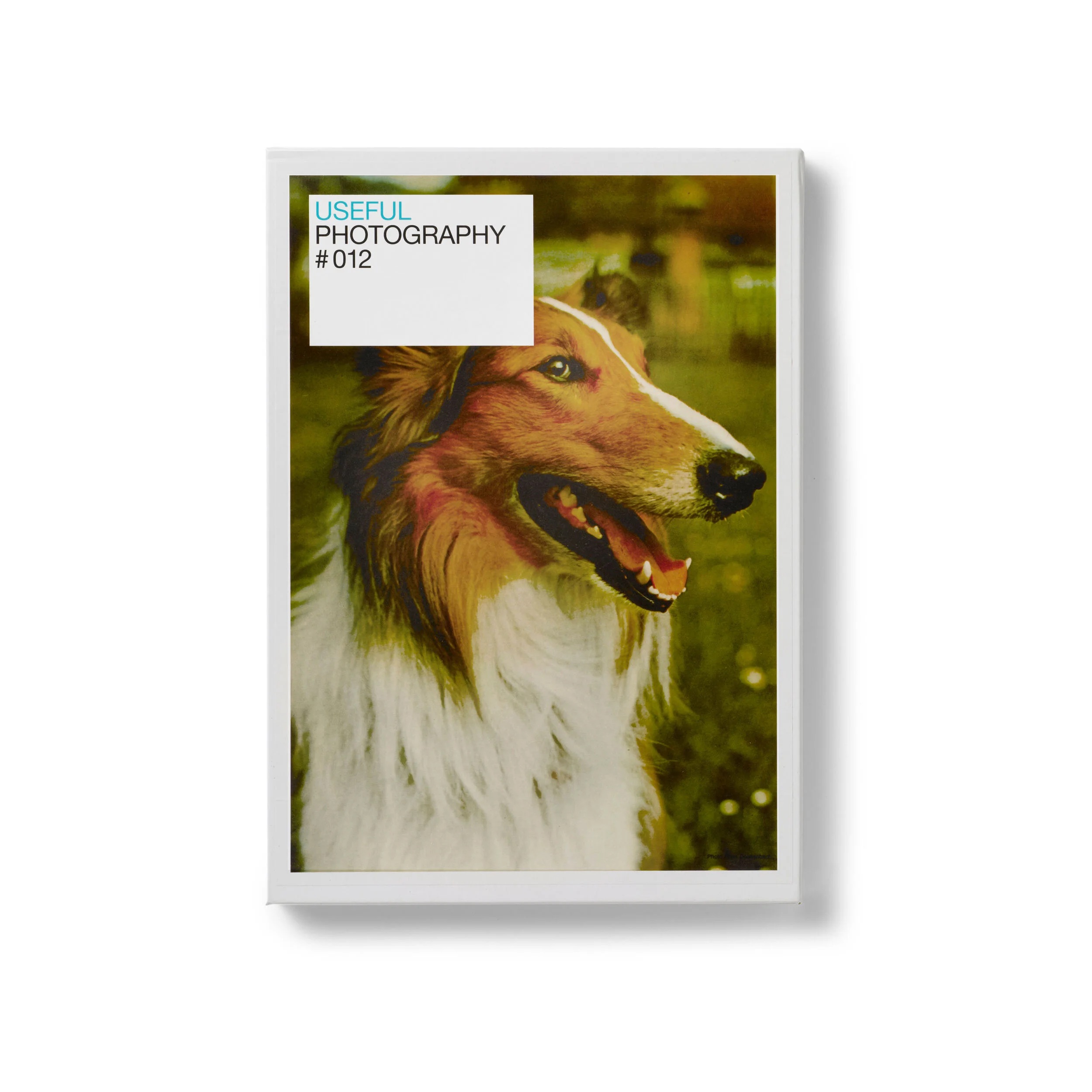 Useful Photography #012