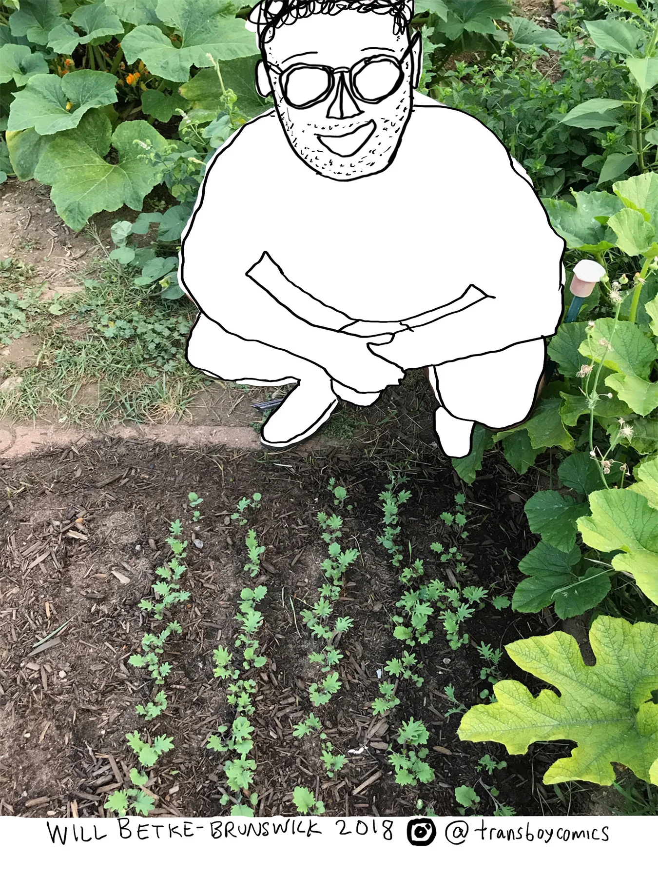gardenpg8.jpg