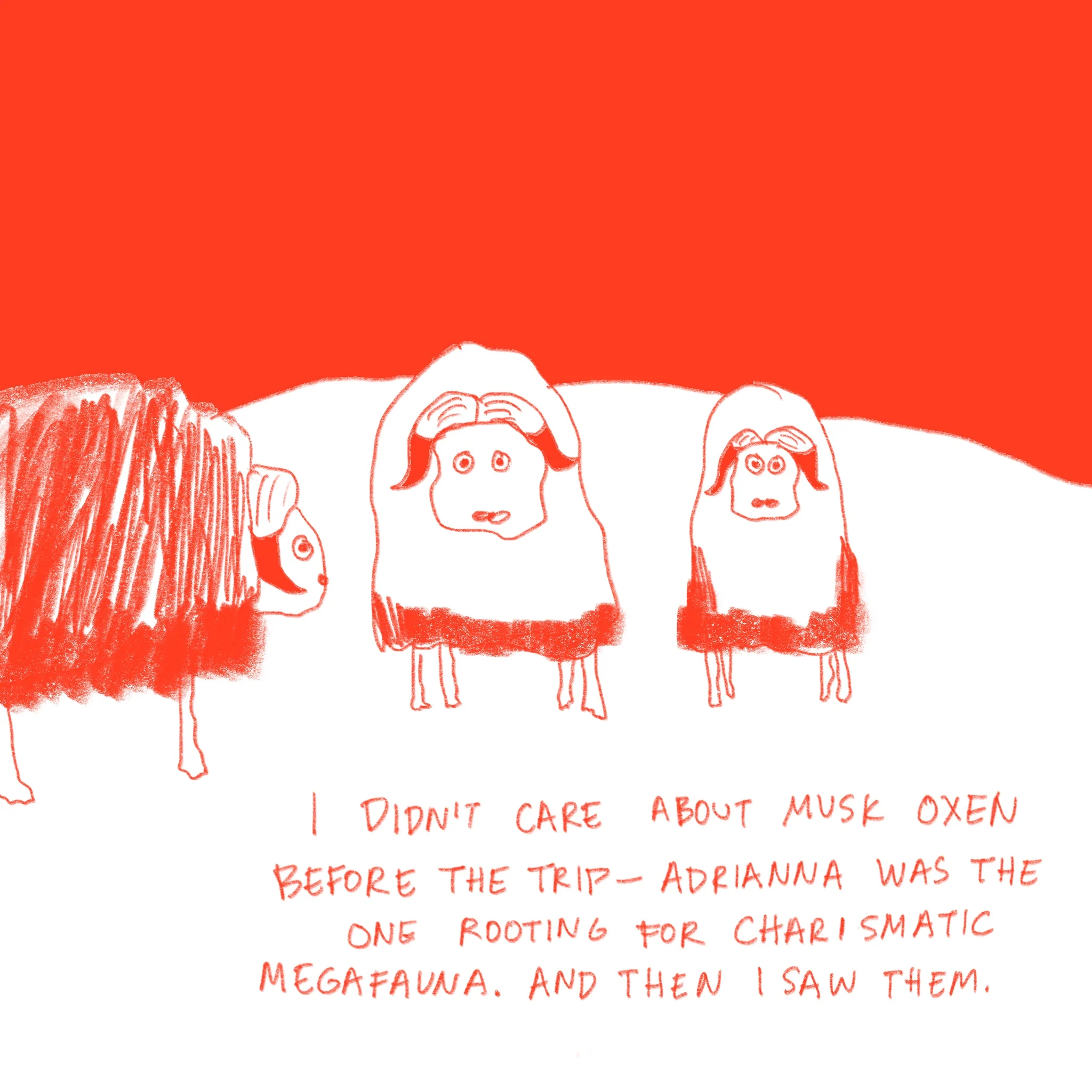 openexpansive6.jpg