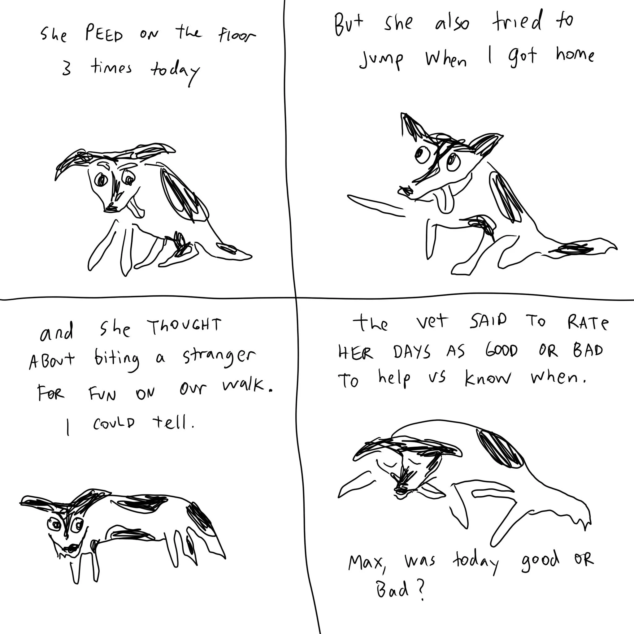 Max3.jpg