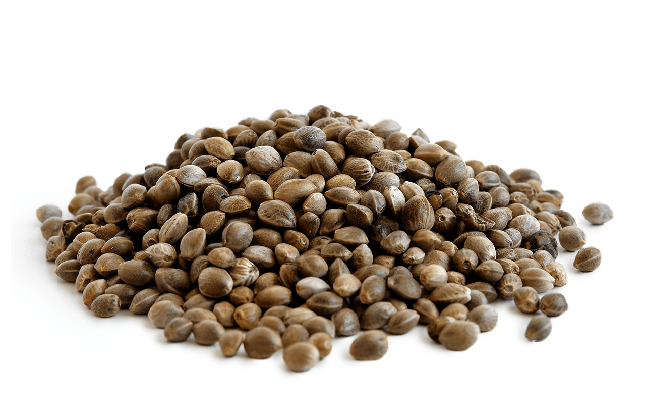 hempseeds.png