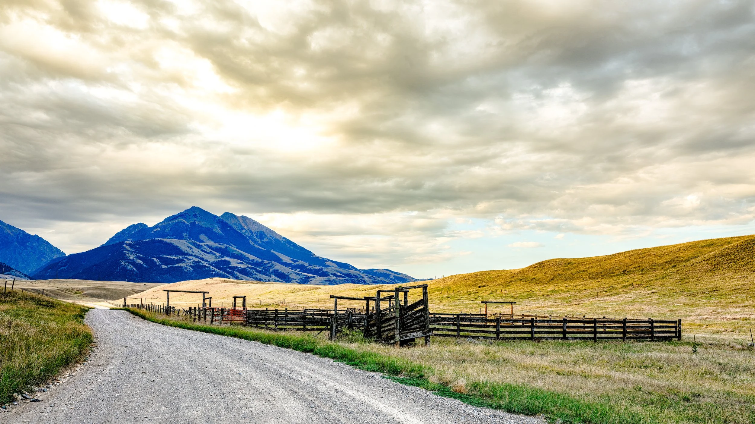 Montana Cow Chute.jpg