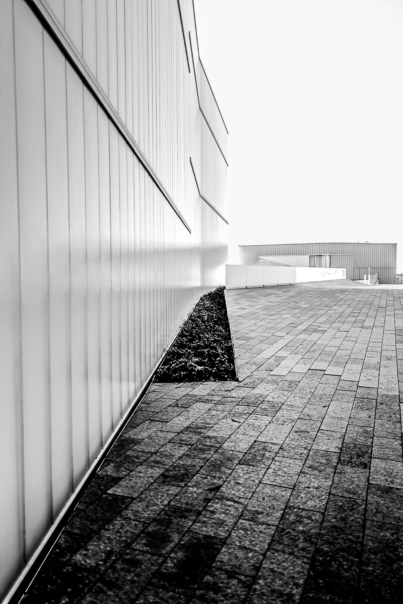 Nelson Side B&W.jpg