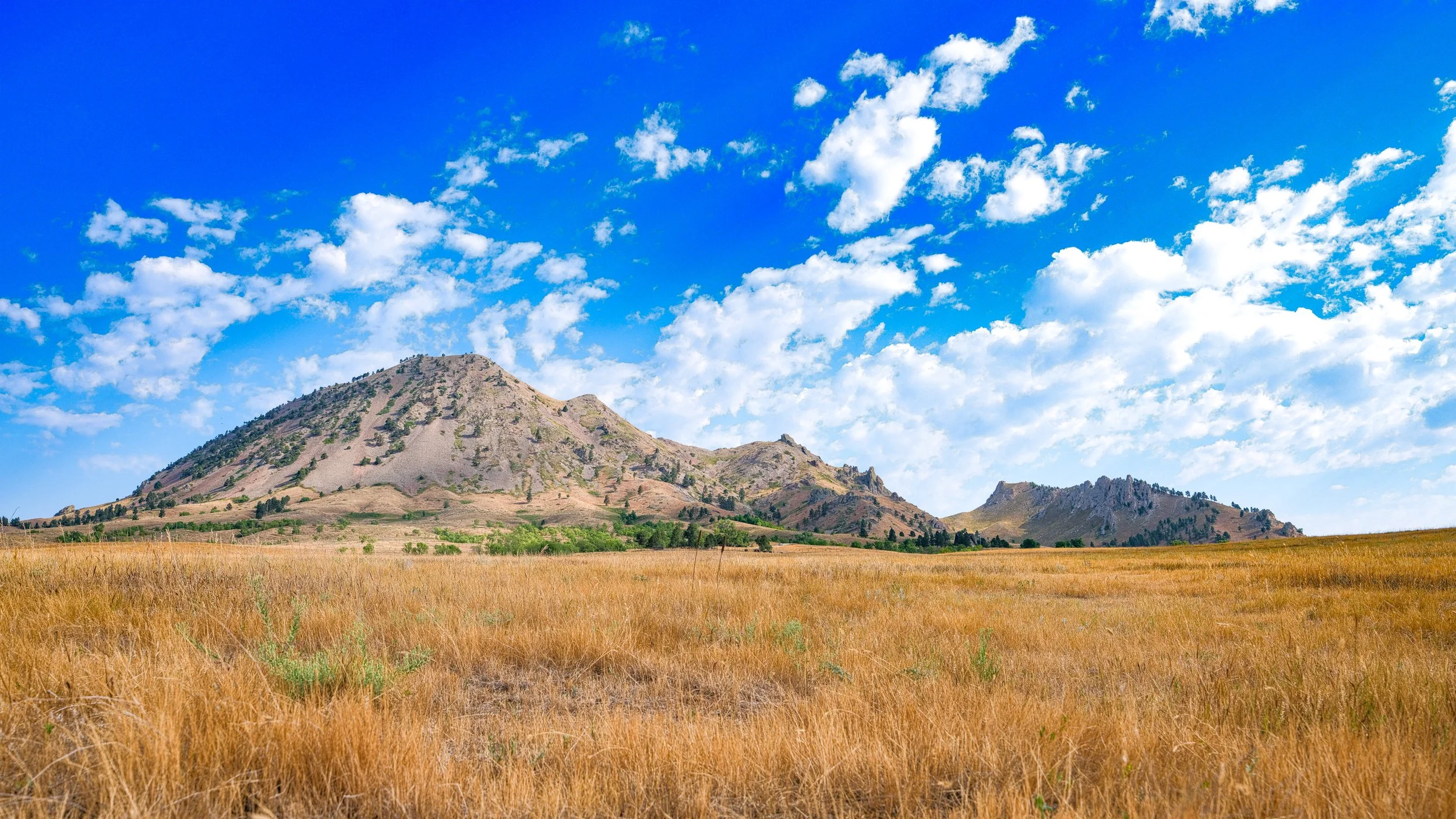 Bear Butte II.jpg