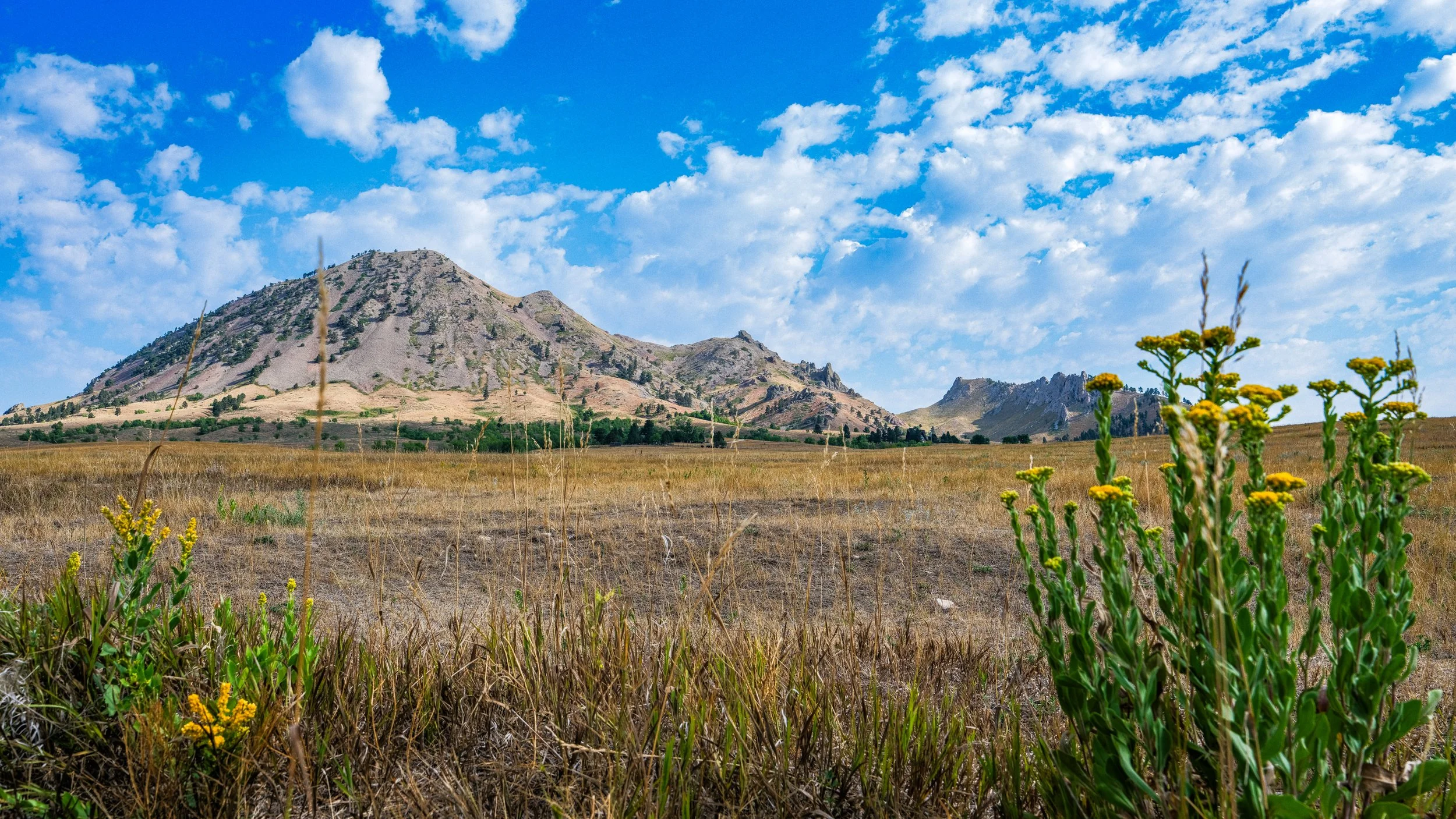 Bear Butte I.jpg