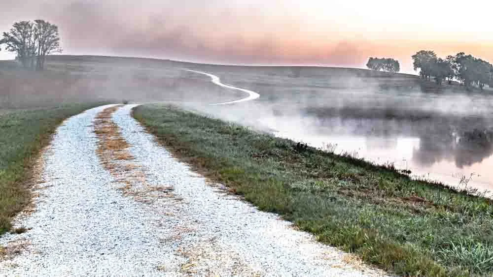 Weston Morning Fog.jpg