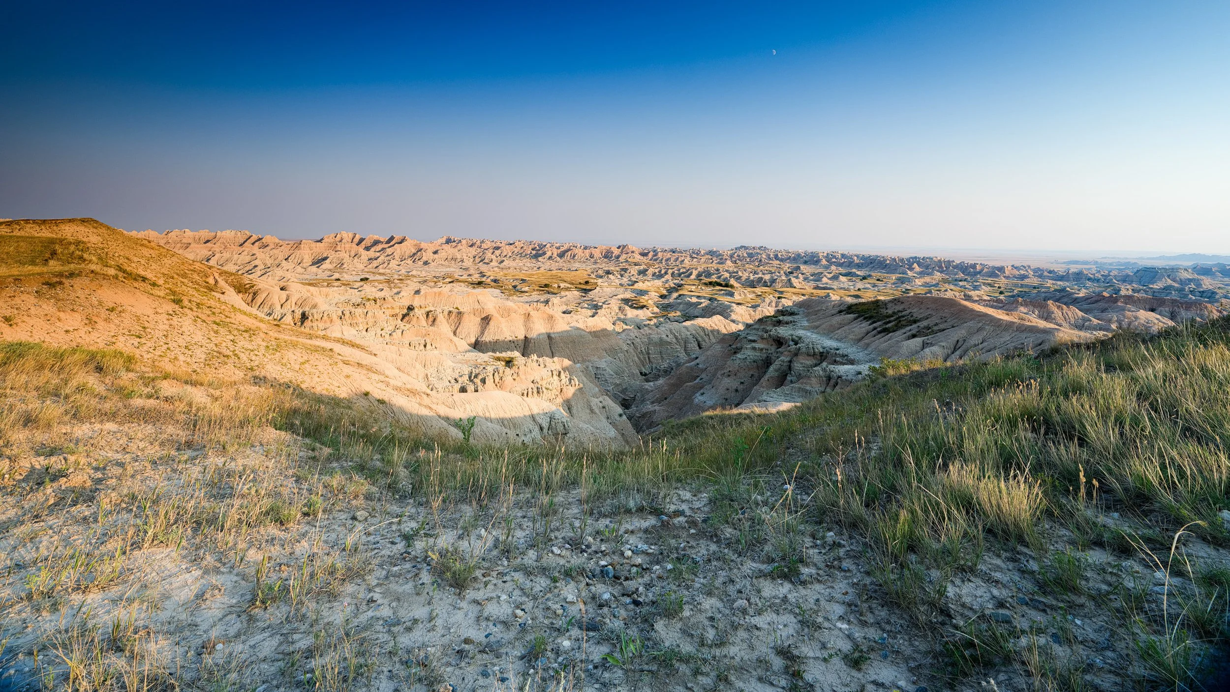 Badlands bBuckwheat ii.jpg