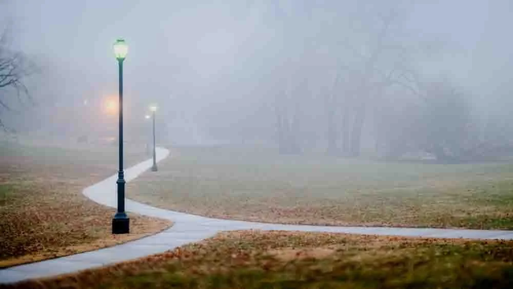 Loose Park Fog.jpg