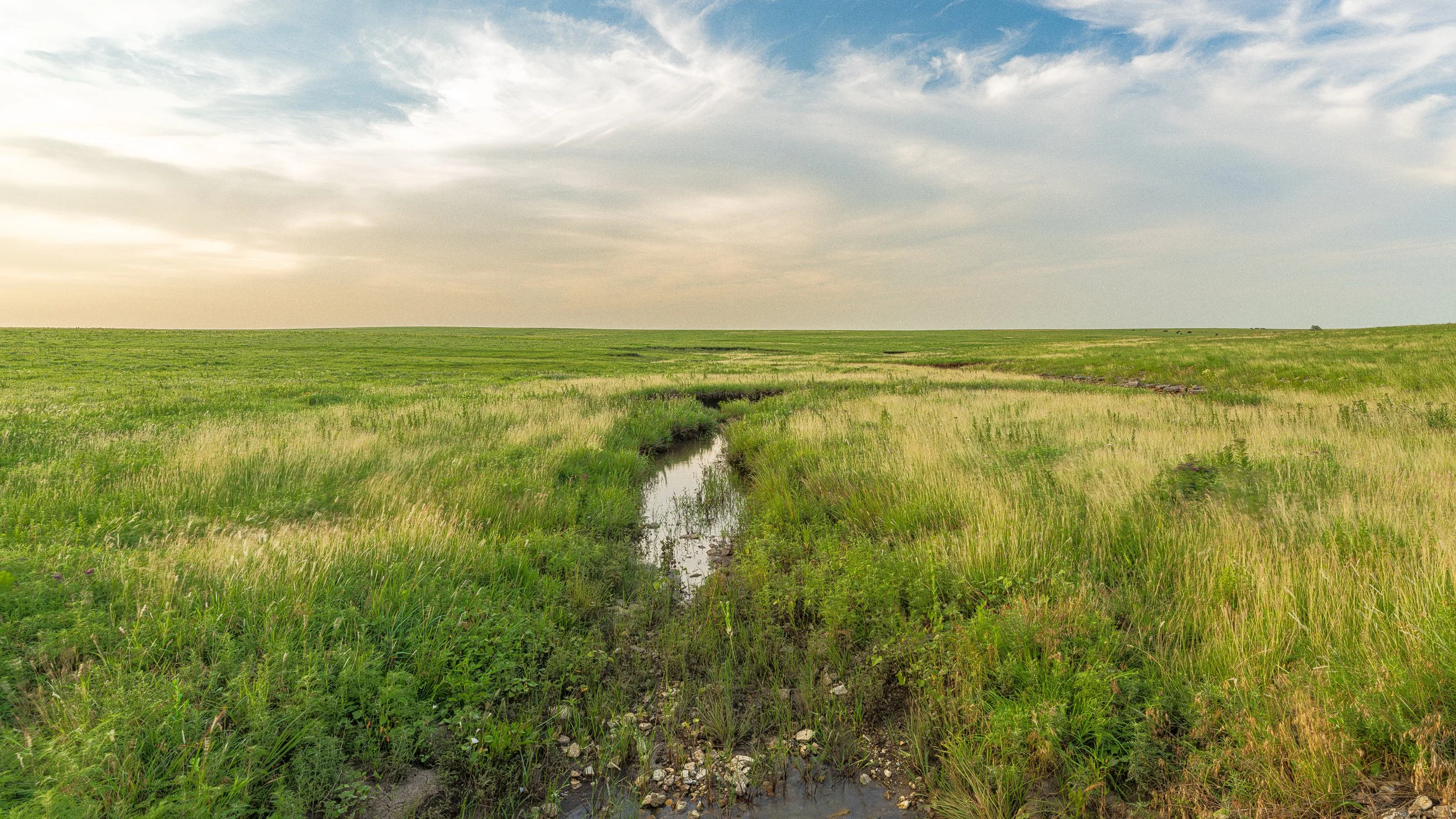 Open grassy field with a small stream running through it, under a partly cloudy sky.