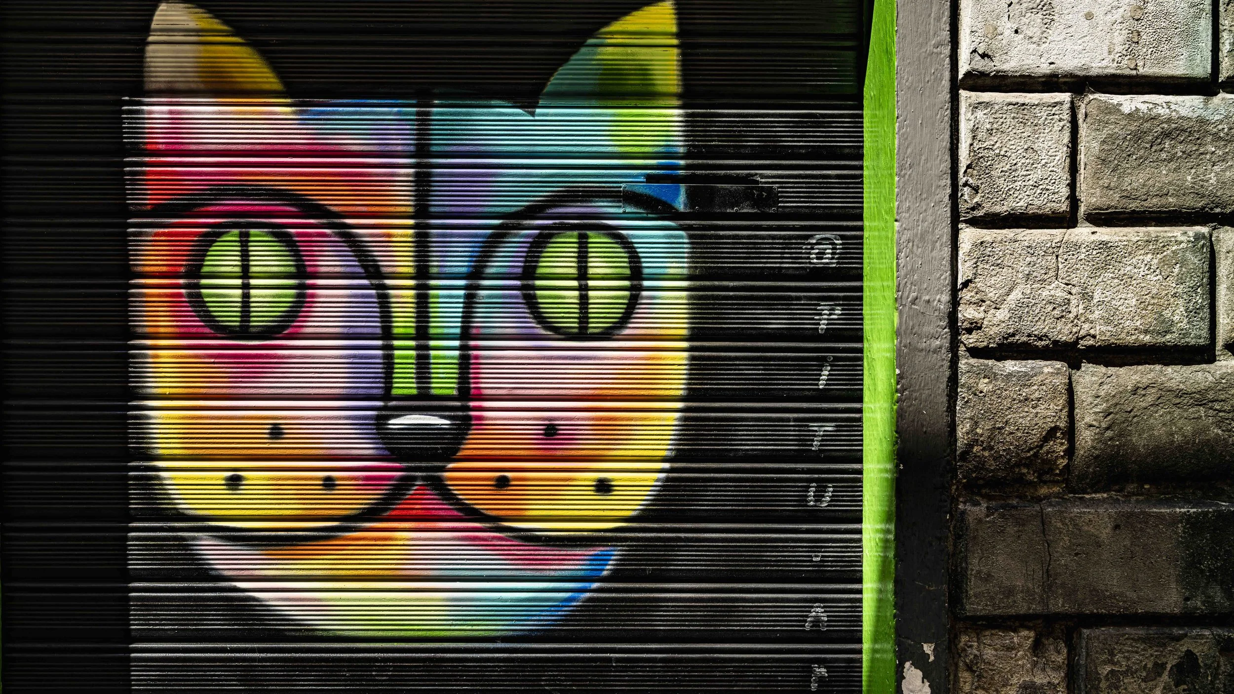 Florentine Cat.jpg
