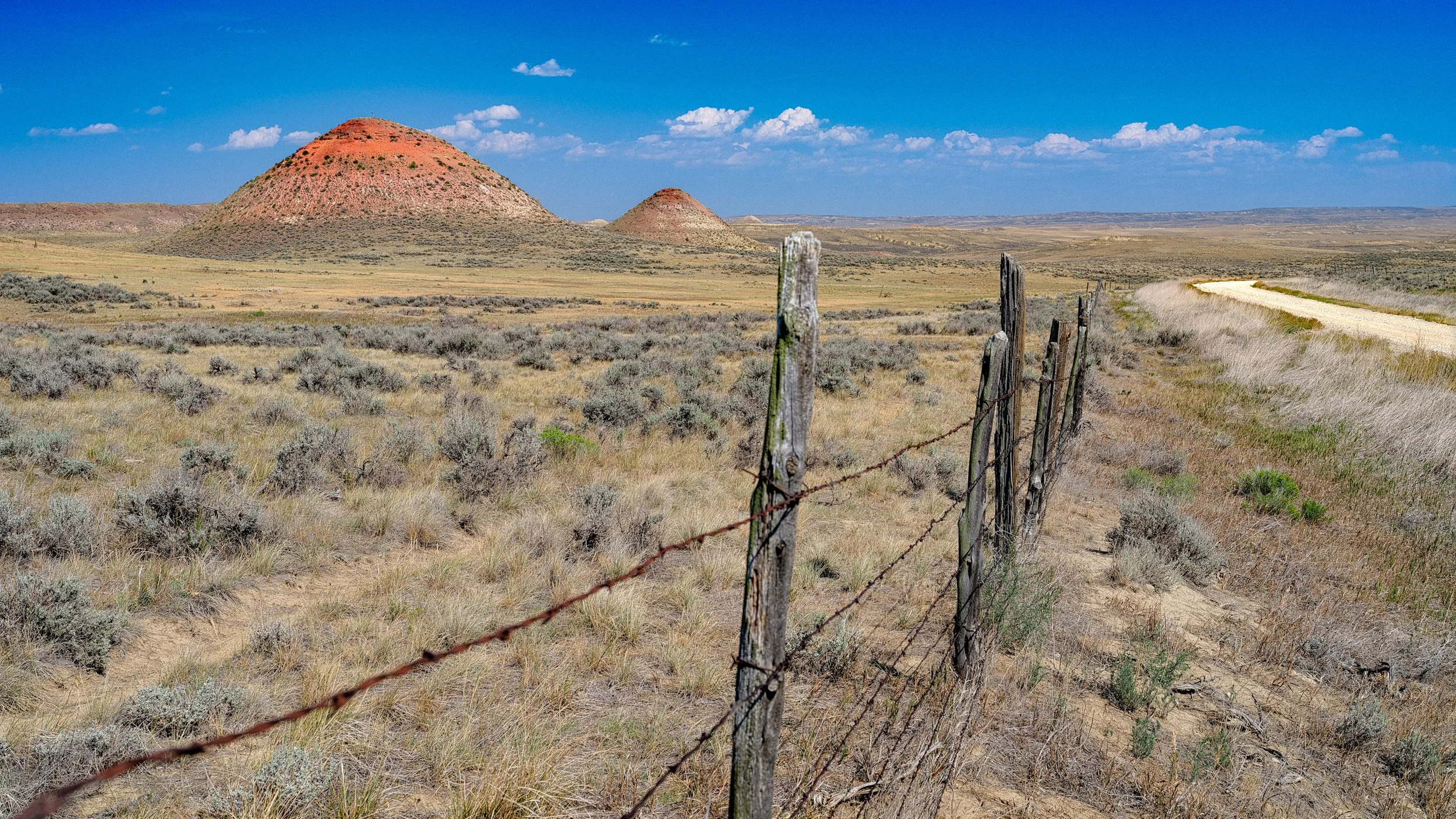Bump Fence.jpg