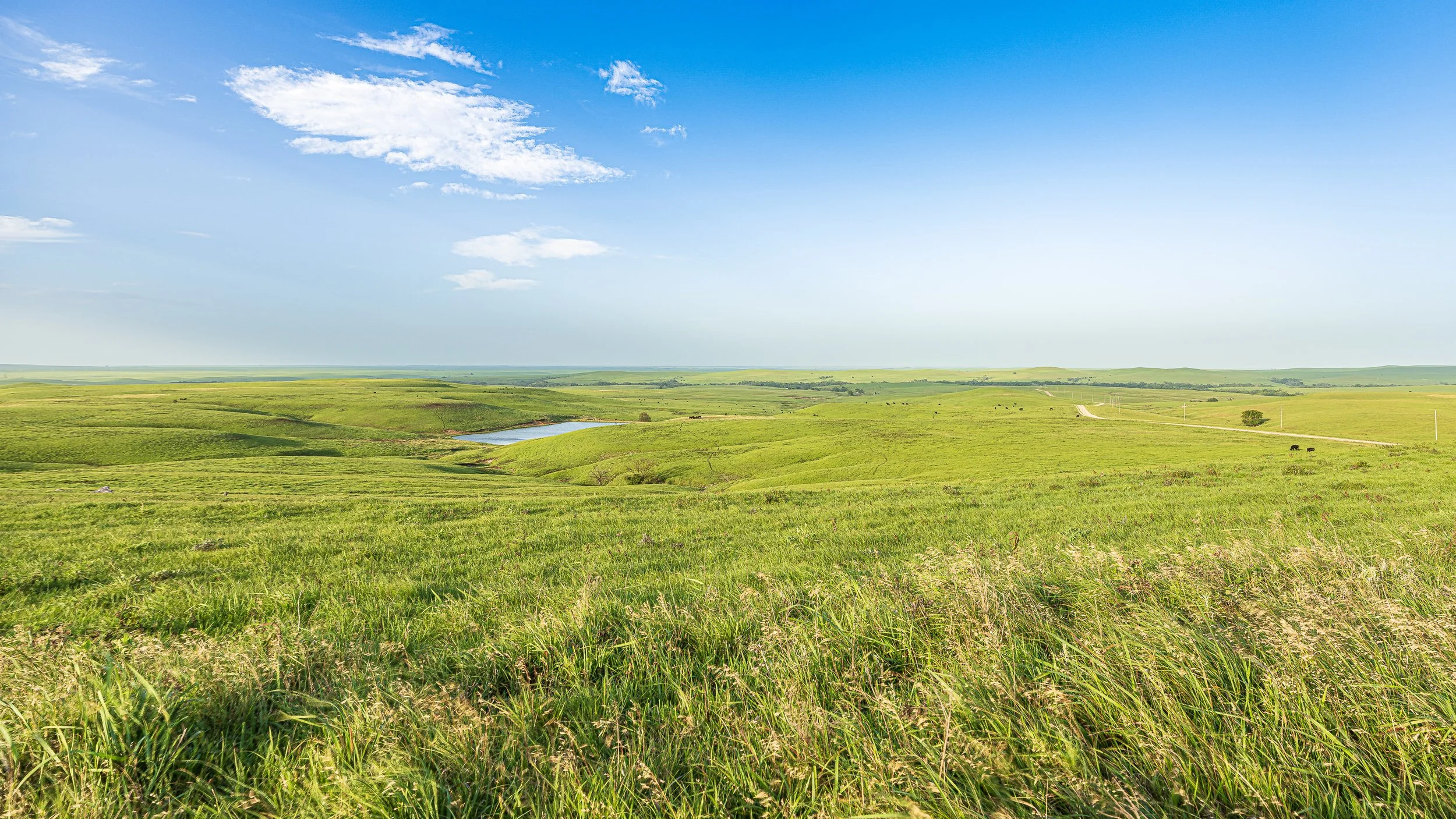 A wide open landscape with rolling green hills, a small pond, a few trees, power lines, and a dirt road under a partly cloudy blue sky.