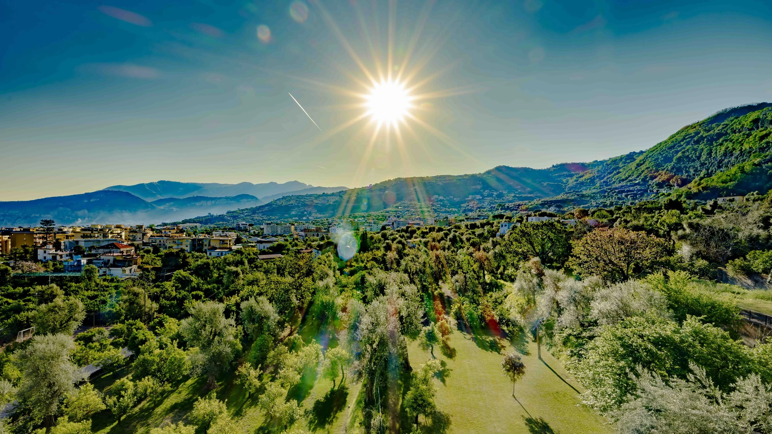 Sorrento Lemon Groves.jpg