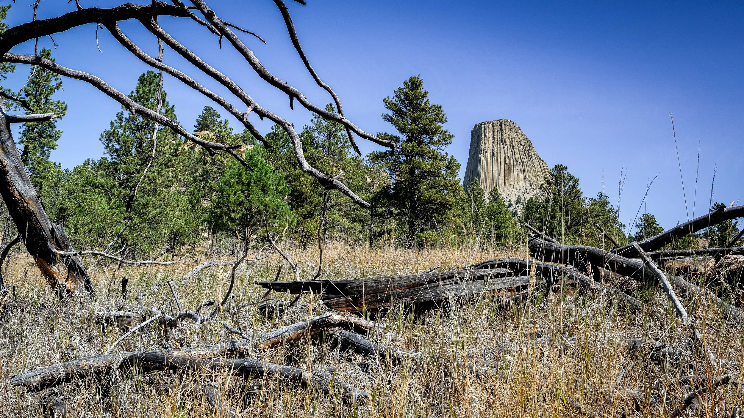Devils Tower I.jpg
