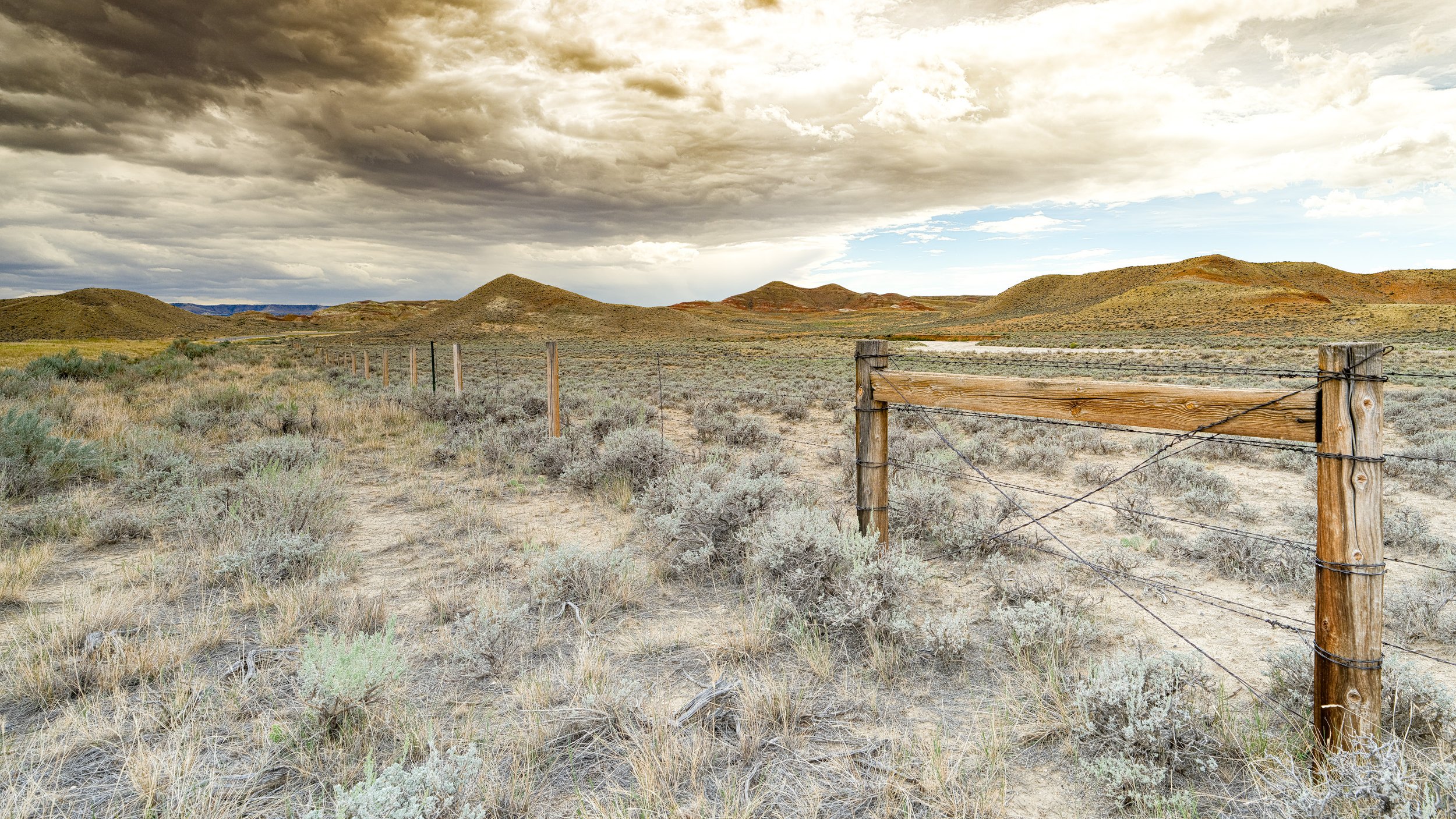 Desert Fence Row.jpg
