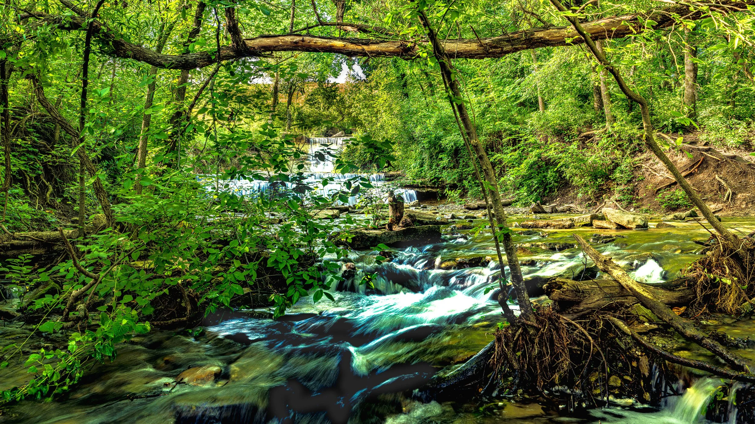 A lush green forest with a small waterfall flowing over rocks into a stream, surrounded by dense trees and foliage.