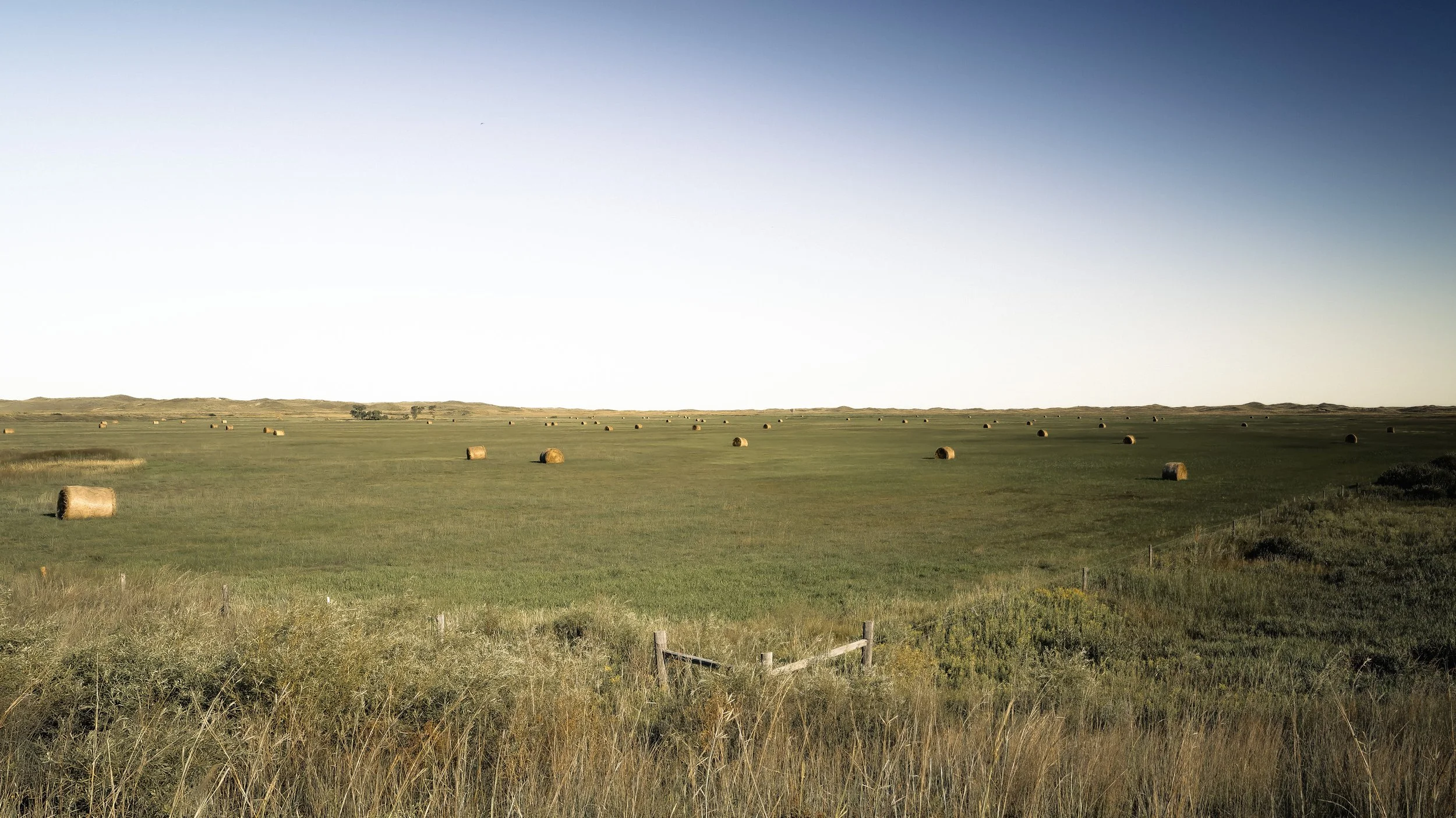 Hay Pattern.jpg