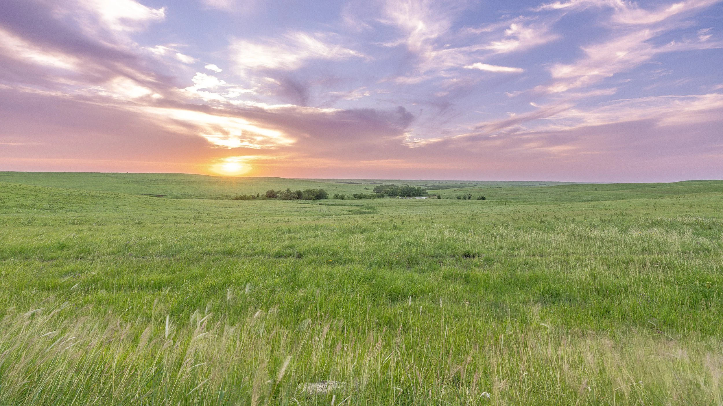 Prairie Sunset