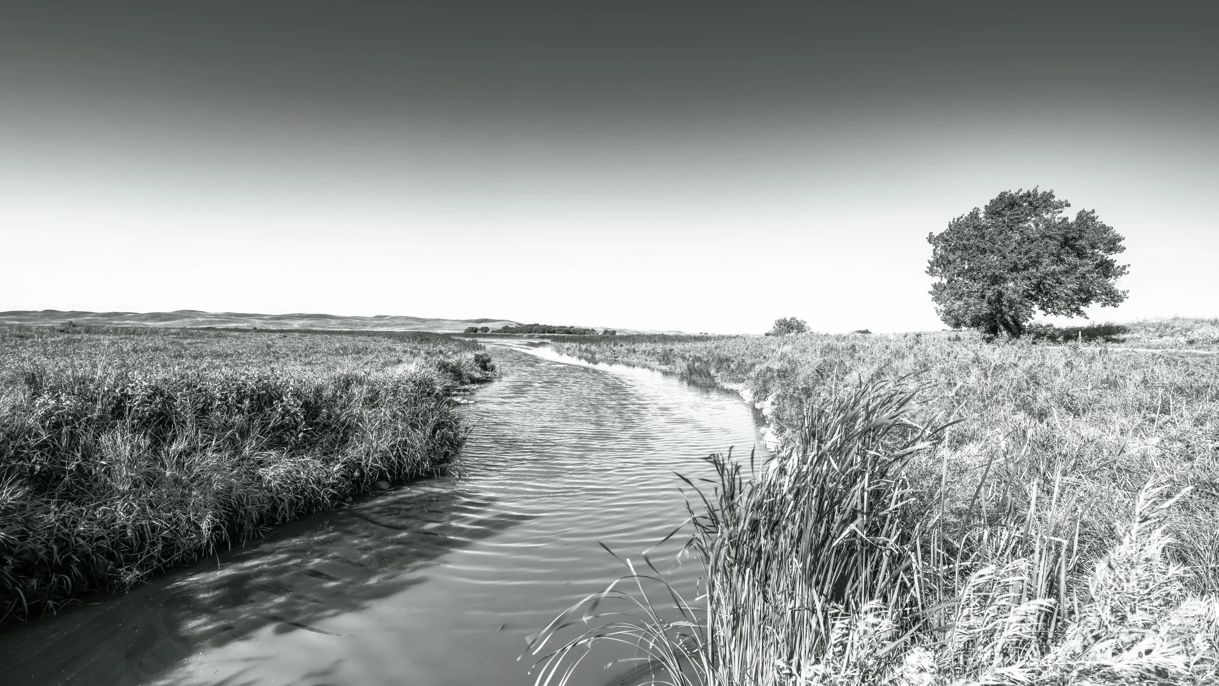 Sand Hills Irrigation B&W.jpg