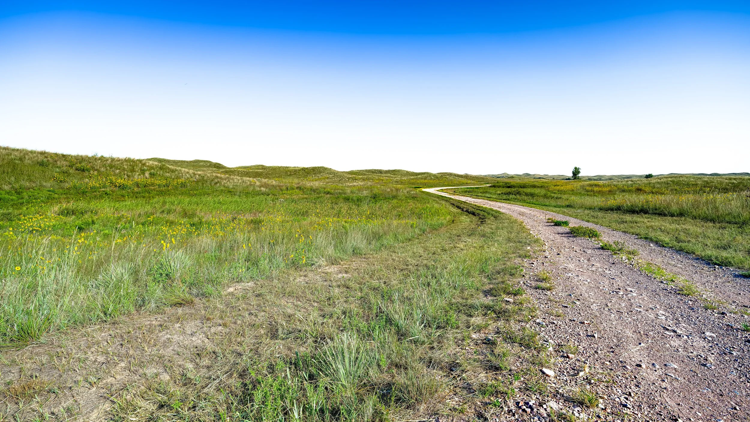 Sand Hills Road.jpg