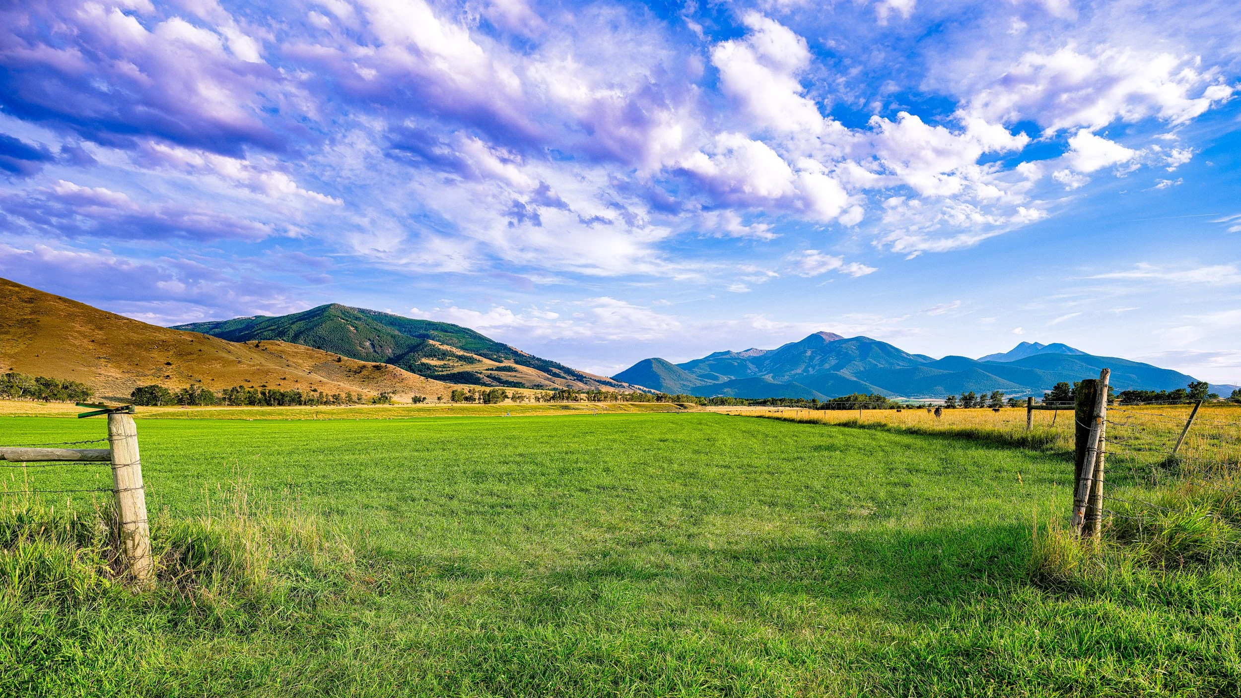 Montana Fence Frame.jpg