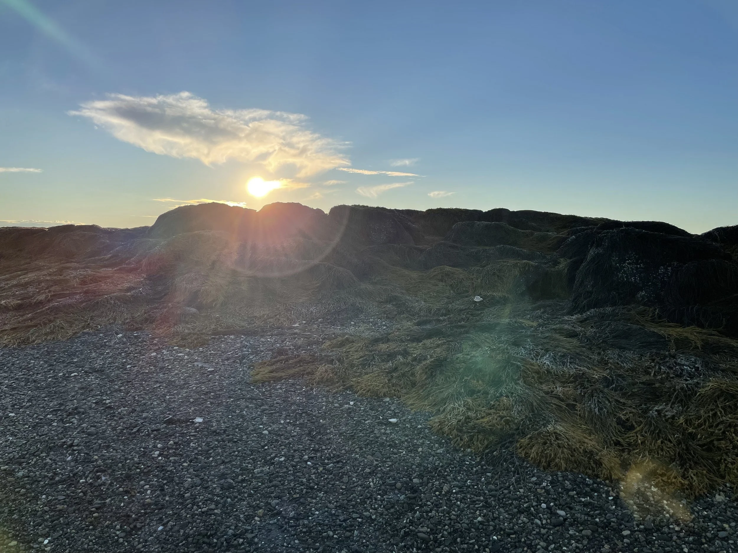 IMG_5354.jpeg