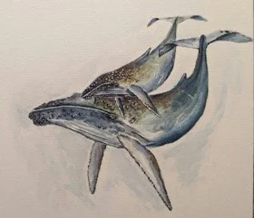 Der Gesang der Wale, Künstlerkarte / The song of the whales, Artist Card