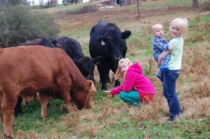 kids_cattle.jpg