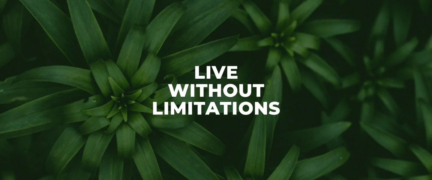 LIVE+without+Limitations+website+header+image+tiny.jpg