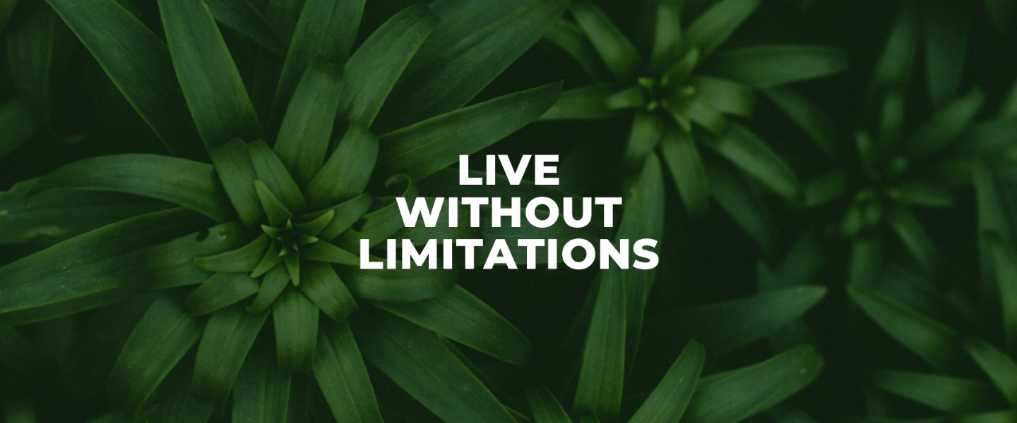 LIVE without Limitations website header image tiny.png