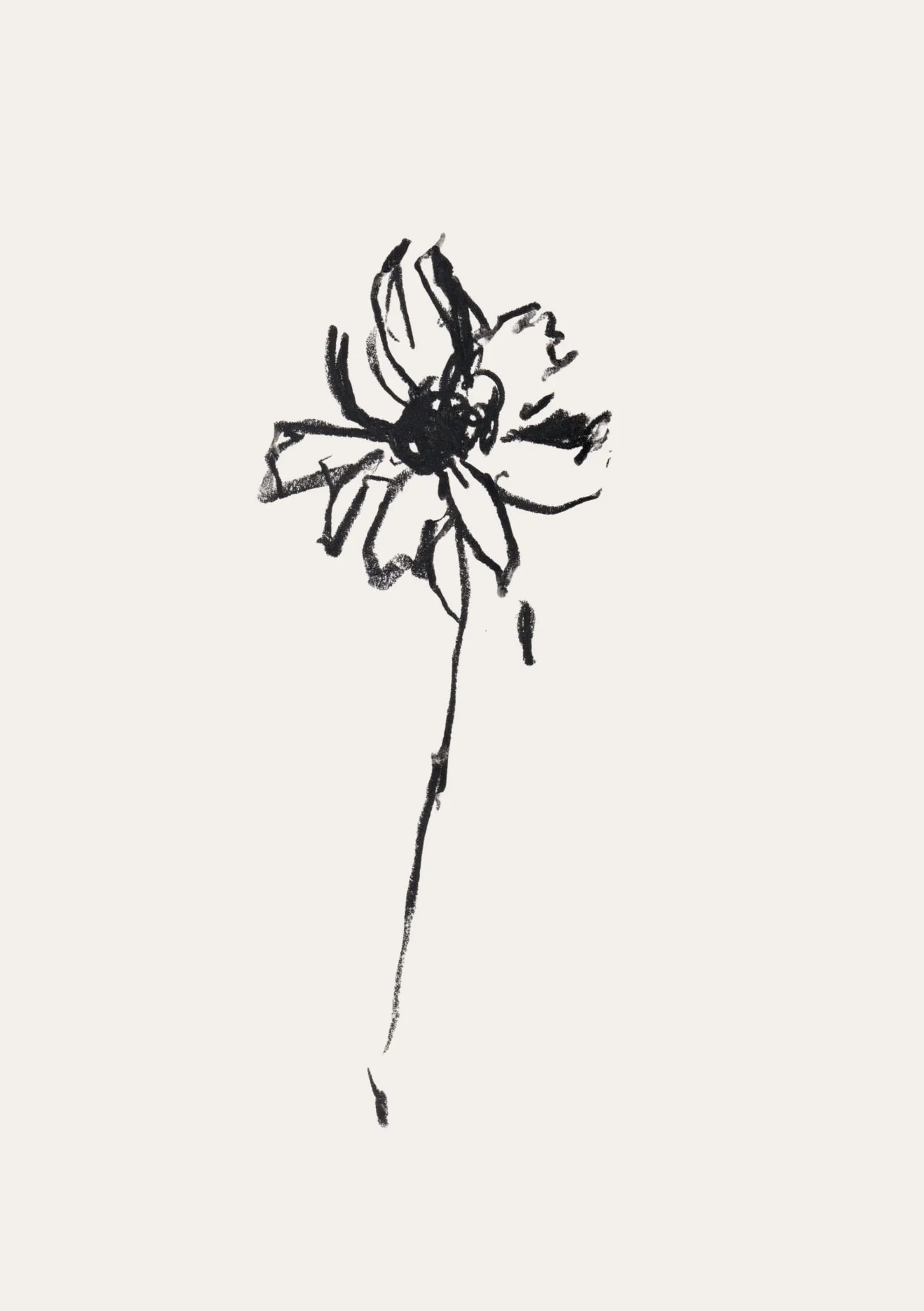 Flowers Sketchbook - 29.JPG