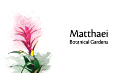 BusinessCardNoraC1.png